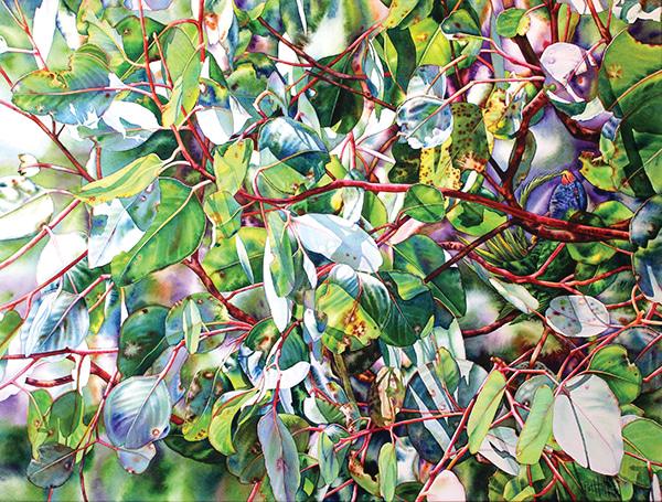 Girraween by Pat Hall | Lethbridge Gallery